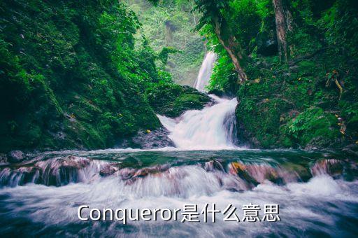 什么是恐慌盤，Conqueror是什么意思