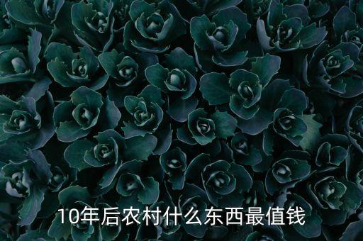 10年后什么最重要，以后10年什么行業(yè)最吃香