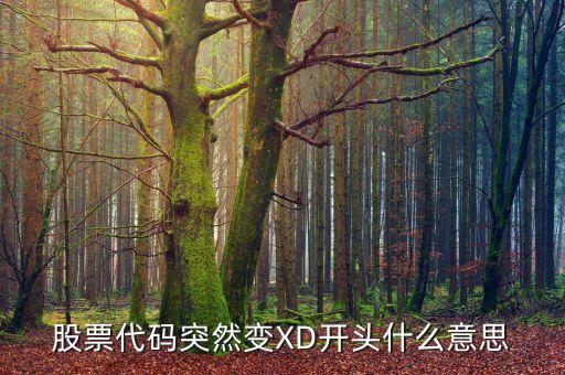 龍建股份變成xd是什么意思，請(qǐng)問(wèn)股票變成XD是什么意思