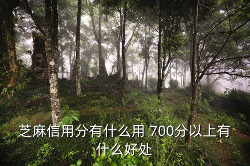 芝麻分700有什么用，芝麻信用分有什么用 700分以上有什么好處