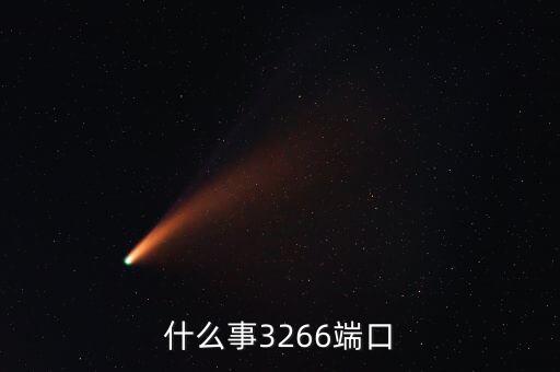 什么事3266端口