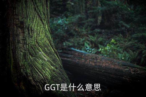 GGT是什么意思