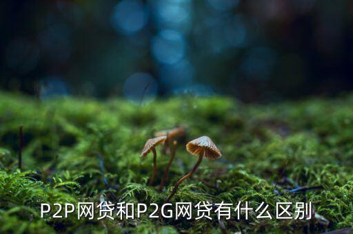 p2g與ppp有什么區(qū)別，P2G是什么意思