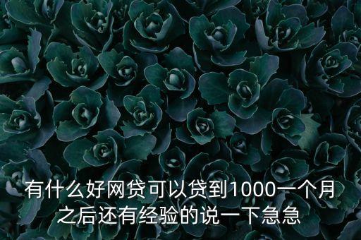 有什么好網(wǎng)貸可以貸到1000一個(gè)月之后還有經(jīng)驗(yàn)的說一下急急