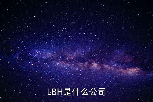 LBH是什么公司