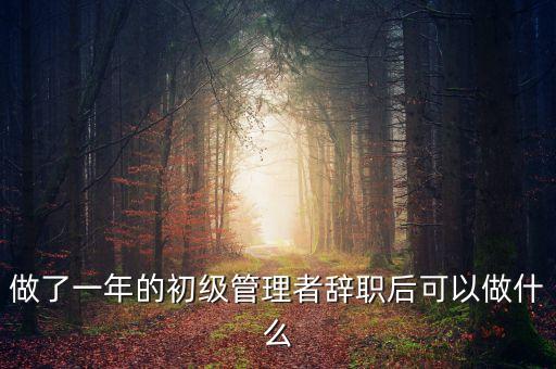 做了一年的初級管理者辭職后可以做什么