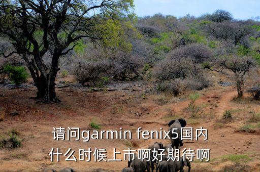 請問garmin fenix5國內(nèi)什么時候上市啊好期待啊