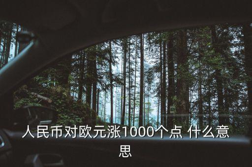 人民幣對歐元漲1000個點 什么意思