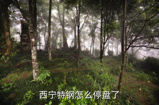 西寧特鋼為什么停牌，西寧特鋼怎么停盤(pán)了