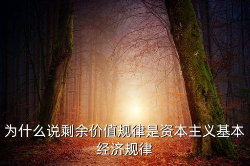 為什么說剩余價值規(guī)律是資本主義基本經(jīng)濟規(guī)律