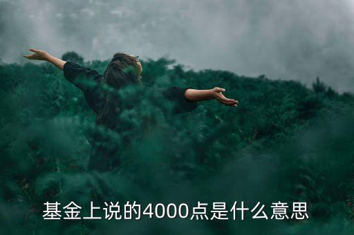 基金上說(shuō)的4000點(diǎn)是什么意思