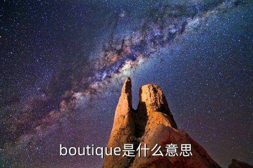 boutique是什么意思