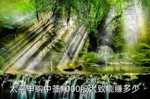 太平鳥股票代碼是什么，太平申購(gòu)中簽1000股大致能賺多少