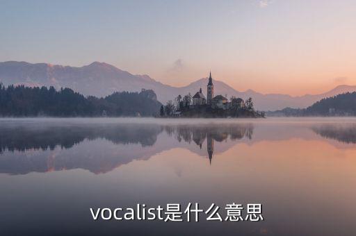 vocalist是什么意思