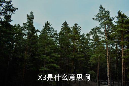 X3是什么意思啊