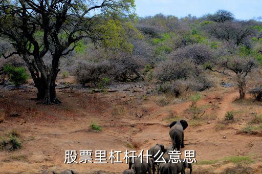 股票加杠桿什么意思，股票里杠桿什么意思