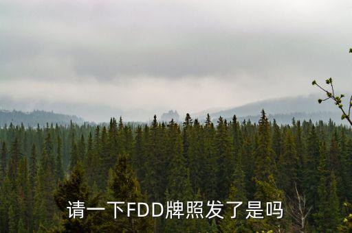 請(qǐng)一下FDD牌照發(fā)了是嗎