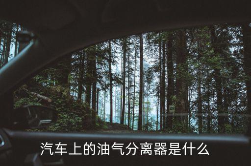 汽車上的油氣分離器是什么