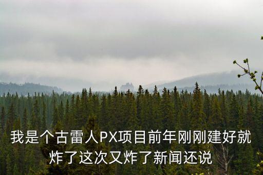 我是個(gè)古雷人PX項(xiàng)目前年剛剛建好就炸了這次又炸了新聞還說