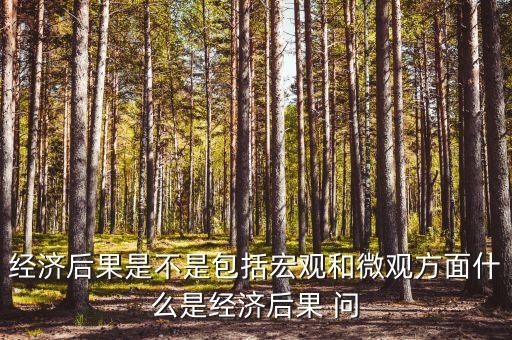 經(jīng)濟后果是不是包括宏觀和微觀方面什么是經(jīng)濟后果 問