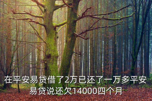 在平安易貸借了2萬已還了一萬多平安易貸說還欠14000四個月