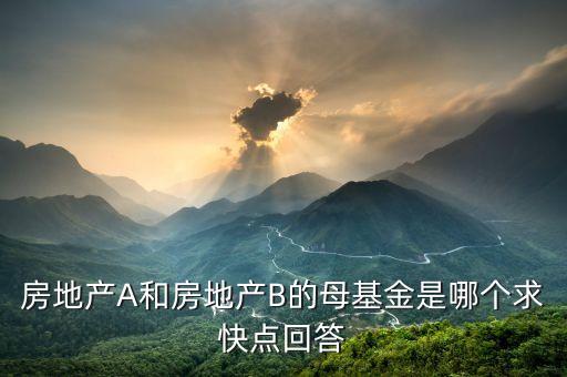 什么叫母基金，房地產(chǎn)A和房地產(chǎn)B的母基金是哪個(gè)求快點(diǎn)回答