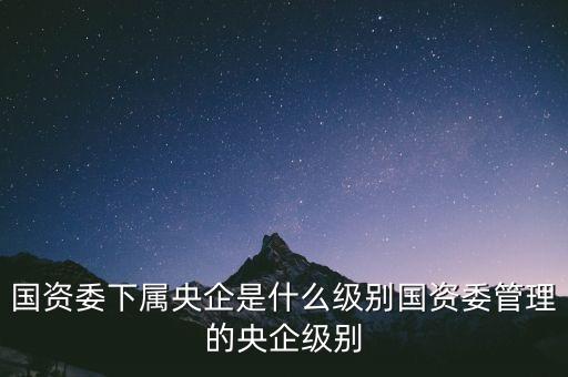 國資委下屬央企是什么級別國資委管理的央企級別