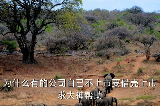 為什么有的公司自己不上市要借殼上市求大神幫助