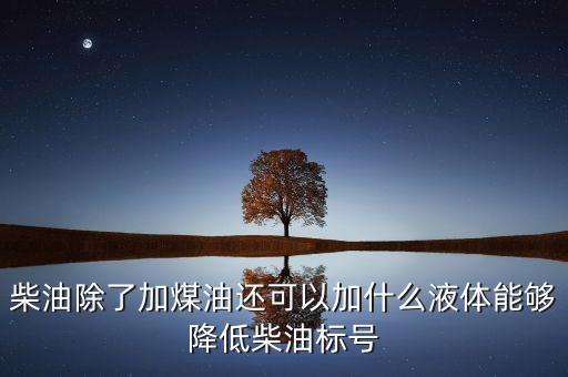 國二柴油車加什么能降低排放，柴油除了加煤油還可以加什么液體能夠降低柴油標(biāo)號(hào)