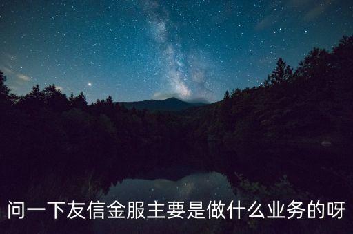 問一下友信金服主要是做什么業(yè)務(wù)的呀