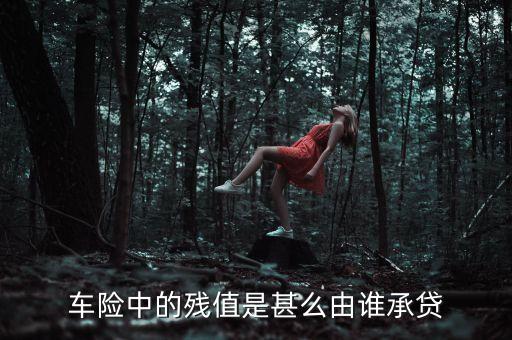 車險(xiǎn)中的殘值是甚么由誰承貸