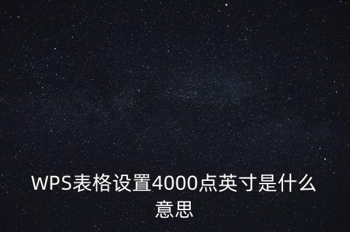 WPS表格設(shè)置4000點(diǎn)英寸是什么意思