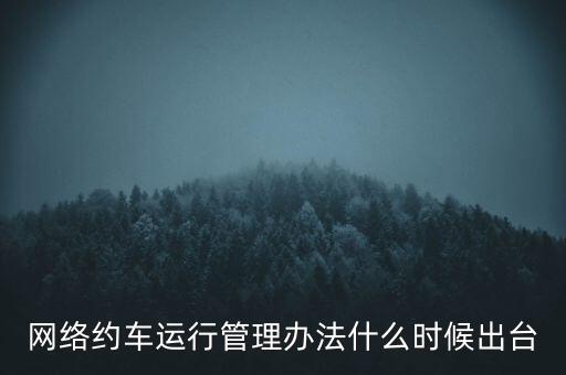 出租車改革什么時候公布，國家對出租車有什么政策改革方案