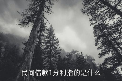 一分利指的是什么，一分利是什么意思