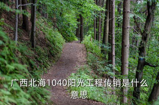 廣西北海1040陽光工程傳銷是什么意思