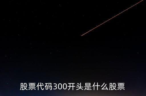 股票代碼300開(kāi)頭是什么股票