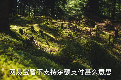 網(wǎng)易寶暫不支持余額支付甚么意思