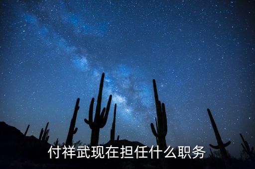 付祥武現(xiàn)在擔(dān)任什么職務(wù)