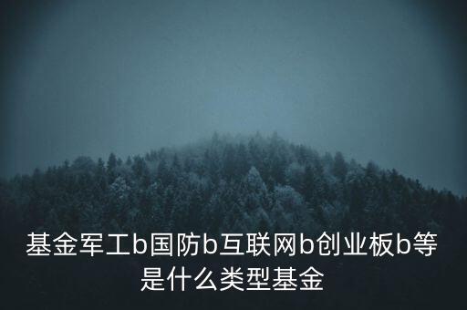 軍工b的母基金是什么，國(guó)防B軍工B這些都是什么意思可以在領(lǐng)盈股票上買入嗎