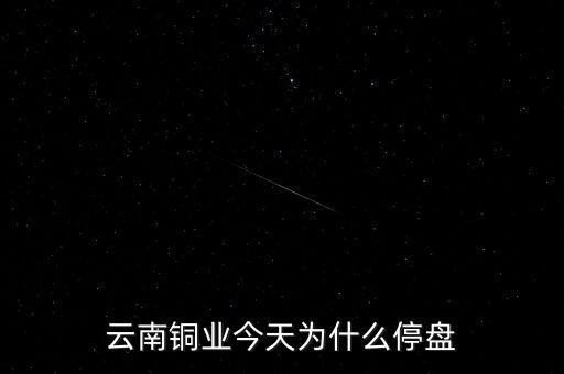 云南銅業(yè)今天為什么停盤