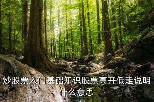 炒股票入門基礎(chǔ)知識股票高開低走說明什么意思