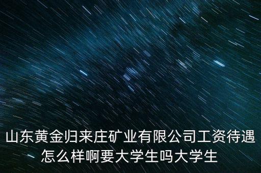 山東黃金歸來莊礦業(yè)有限公司工資待遇怎么樣啊要大學(xué)生嗎大學(xué)生