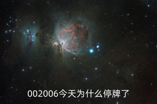 002006今天為什么停牌了