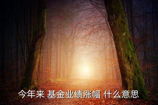 基金月漲幅是什么意思，今年來 基金業(yè)績漲幅 什么意思