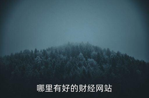 哪里有好的財(cái)經(jīng)網(wǎng)站