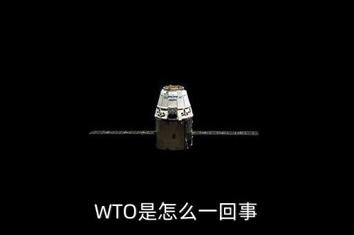 WTO是怎么一回事