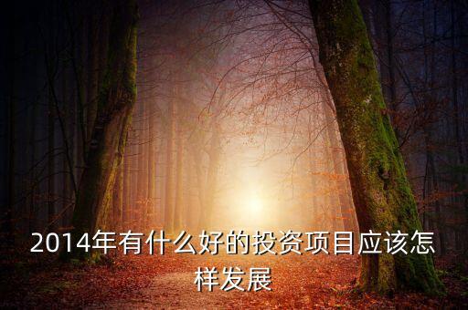 2014年有什么好的投資項(xiàng)目應(yīng)該怎樣發(fā)展