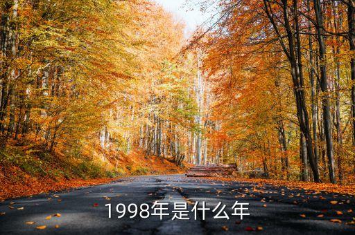 1998年是什么年