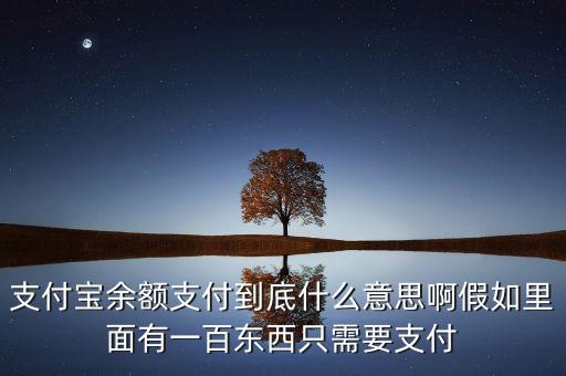 支付寶余額支付是什么意思，支付寶說(shuō)余額支付是什么意思