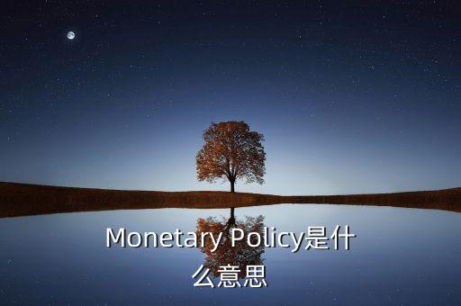 Monetary Policy是什么意思